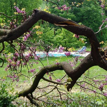 Chateau De Monteux La Fouillouse エクステリア 写真
